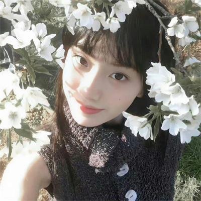 丛林的孩子